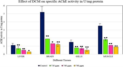 Antagonistic Effect of Dichloromethane on Oreochromis mossambicus and Immune Stimulation Activity of Aloe Vera